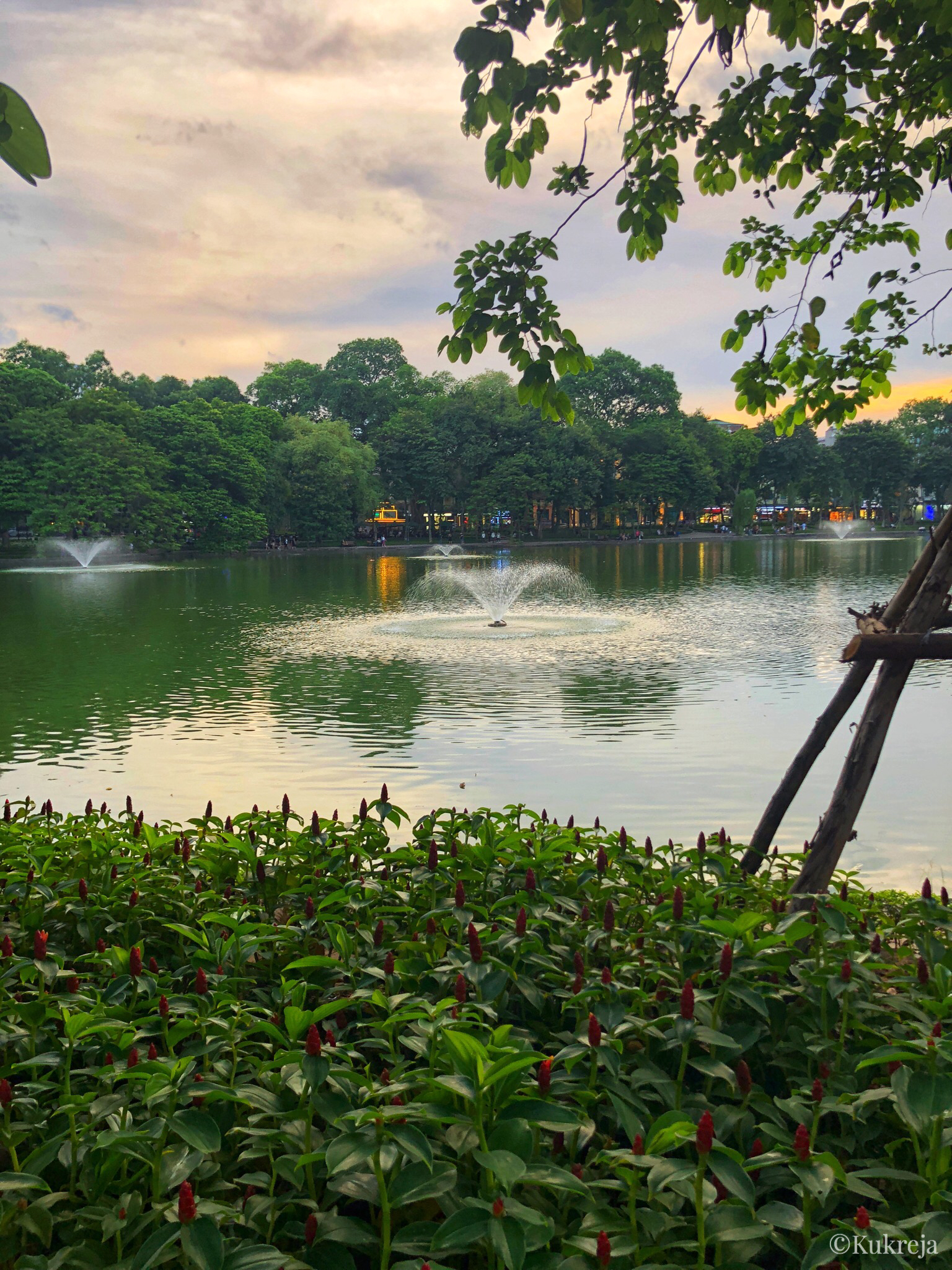 Fountains in the middle of Hoan Kiem Lake surrounded by greenery. 